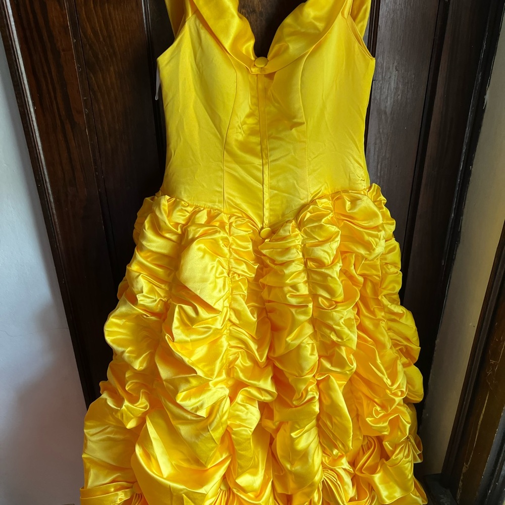 Belle costume dress for adult